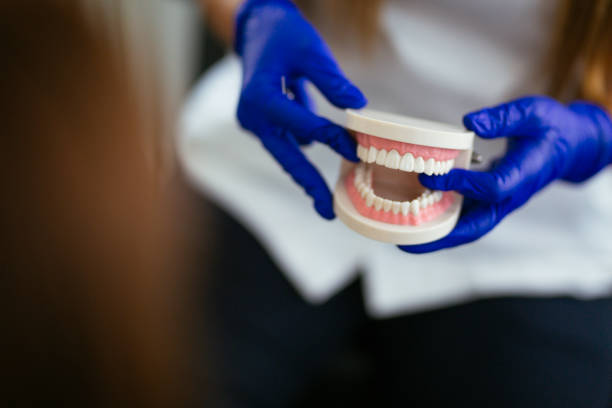 Professional Dental Services in Northglenn, CO